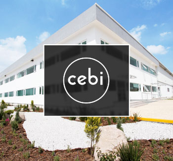 Cebi Worldwide Expertise